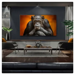 55 Inch Gallery OLED TV