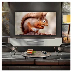 65 Inch OLED 4K Smart Entry TV
