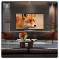 48 Inch OLED 4K Smart TV