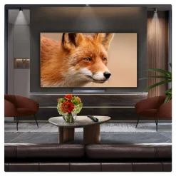 Sale LG 65 Inch OLED 4K Smart TV