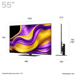 55 Inch OLED TV with Centre Stand