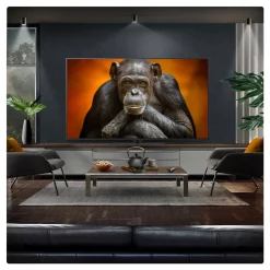 55 Inch OLED TV with Centre Stand