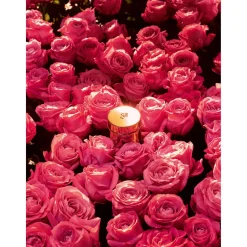 New LANCÔME Absolue Regenerating Brightening Soft Cream