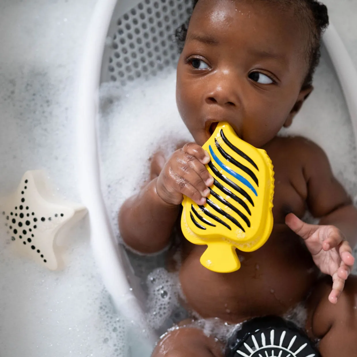 Animal Bath Toys Three-Pack