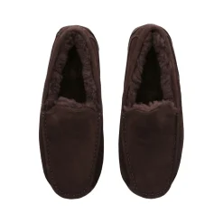 Ascot Slippers