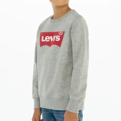 Batwing Logo Sweatshirt 10-14 Years