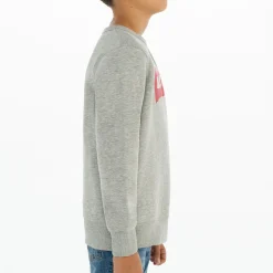 Batwing Logo Sweatshirt 10-14 Years