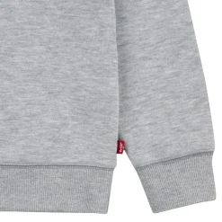 Batwing Logo Sweatshirt 10-14 Years