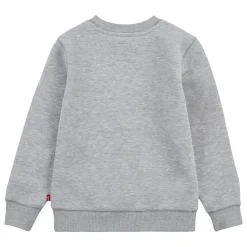 Batwing Logo Sweatshirt 10-14 Years