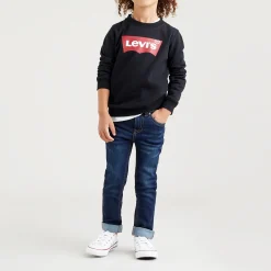 Batwing Logo Sweatshirt 6-8 Years