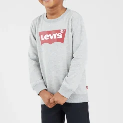 Batwing Logo Sweatshirt 6-8 Years