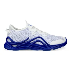 Biom Infinite Trainers