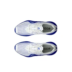 Biom Infinite Trainers