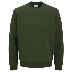 Bradley Logo Sweatshirt