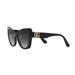 Butterfly Sunglasses DG4405