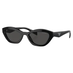 Fashion PRADA Butterfly Sunglasses PR A02S