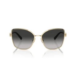 Butterfly Sunglasses TF3102B