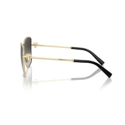 Butterfly Sunglasses TF3102B