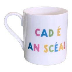 Cad É An Scéal Fine China Mug