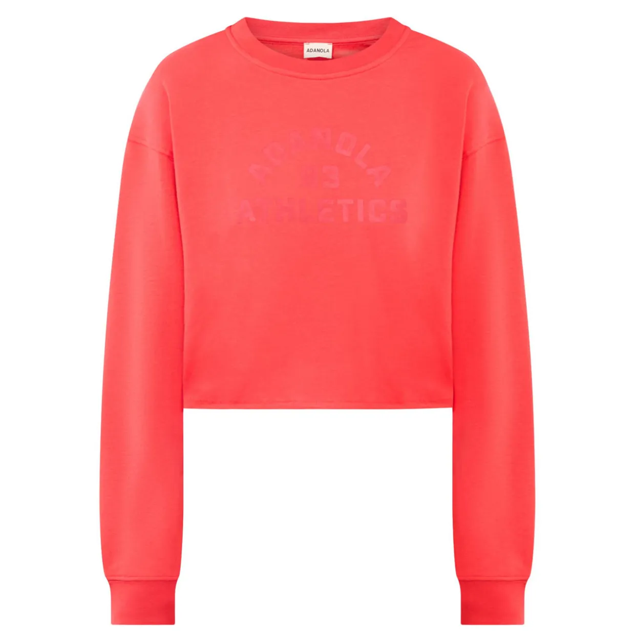 Campus Logo Cropped Sweatshirt
