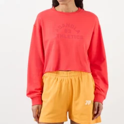 Campus Logo Cropped Sweatshirt
