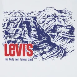 Best LEVIS Canyon Logo Long-Sleeved T-Shirt 6-8 Years