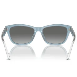 Best EMPORIO ARMANI Cat Eye Sunglasses EA4227U