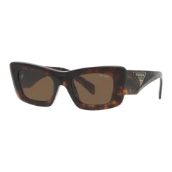 Cat Eye Sunglasses PR 13ZS