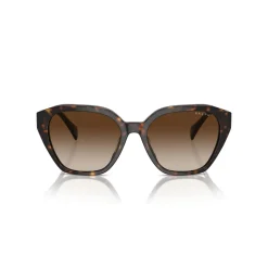 Cat Eye Sunglasses RA5315U