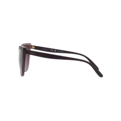 Cat Eye Sunglasses VO5484S