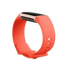 Clearance FITBIT Charge 6 Coral-Champagne Gold Case