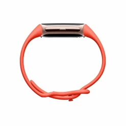 Clearance FITBIT Charge 6 Coral-Champagne Gold Case