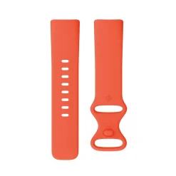 Clearance FITBIT Charge 6 Coral-Champagne Gold Case