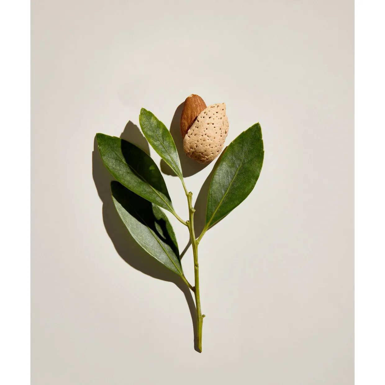 Checks And Balances™ Milk to Oil Cleanser + Makeup Melter