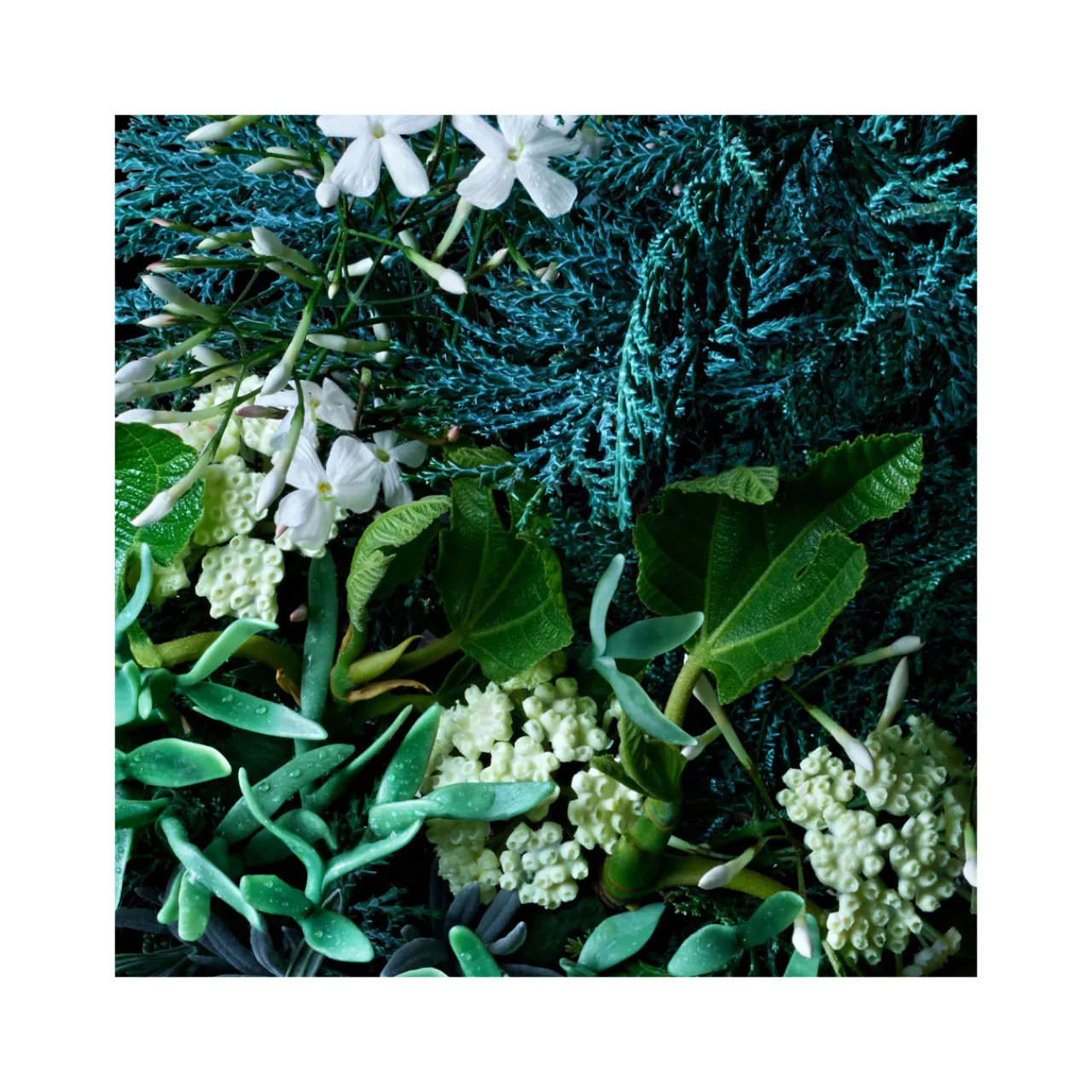 Sale MOLTON BROWN Coastal Cypress & Sea Fennel Fine Liquid Hand Wash