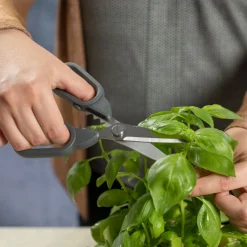 Compact Kitchen Shears