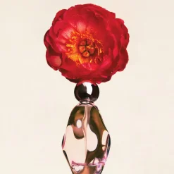 Cosmic Kylie Jenner EDP