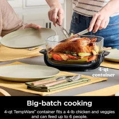 CRISPi 4-in-1 Portable Glass Air Fryer Stone