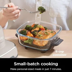 CRISPi 4-in-1 Portable Glass Air Fryer Stone