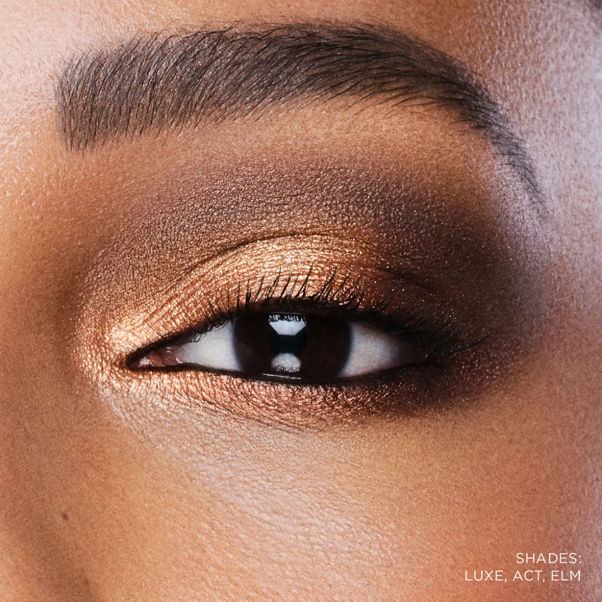 Curator Three-Pan Palette