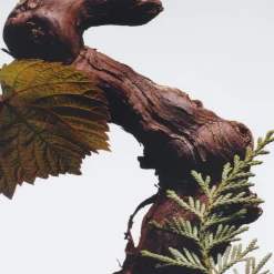 Discount JO MALONE LONDON Cypress & Grapevine Cologne Intense