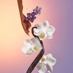 Online SOL DE JANEIRO Delicia Drench Shower Oil