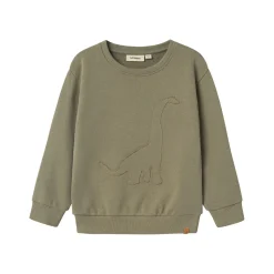 Dinosaur Sweatshirt
