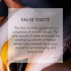 Discount DIOR Homme Eau de Toilette