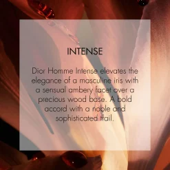 Fashion DIOR Homme Intense