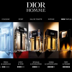 Fashion DIOR Homme Intense