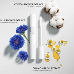 New DIOR show Maximizer 4D