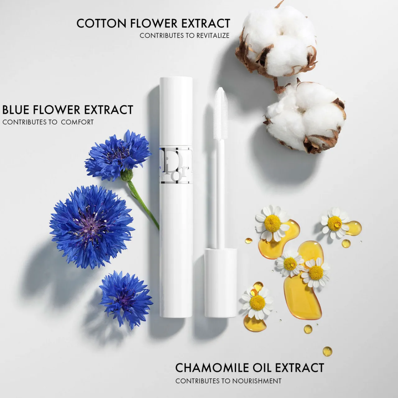 New DIOR show Maximizer 4D