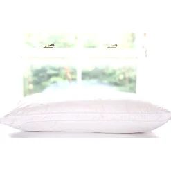 Down Surround Pillow