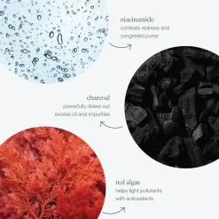 Dynamic Skin Daily Superfoliant